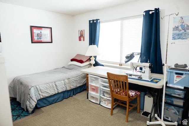 322 Bailey Rd, Soda Springs, ID 83276 - bedroom featuring carpet floors