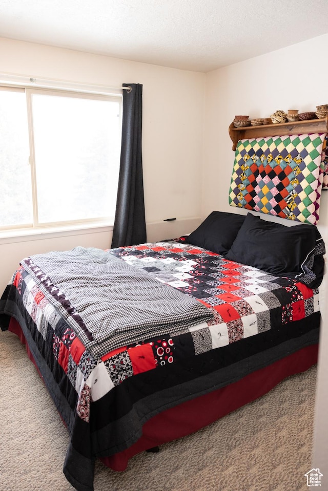 322 Bailey Rd, Soda Springs, ID 83276 - view of carpeted bedroom
