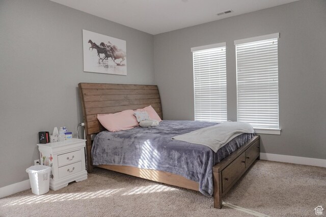 1055 S 500 E Unit D204, Heber City, UT 84032 - bedroom featuring light carpet, visible vents, and baseboards