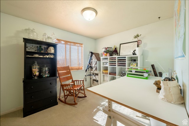 1446 E Murdock Dr S, Pleasant Grove, UT 84062 - office area with carpet flooring and baseboards