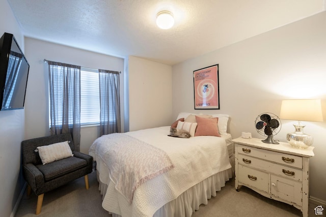 1446 E Murdock Dr S, Pleasant Grove, UT 84062 - bedroom with light colored carpet