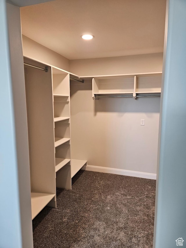 8345 W 11050 N, Tremonton, UT 84337 - walk in closet with carpet floors