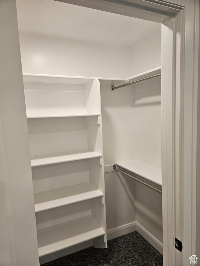 8345 W 11050 N, Tremonton, UT 84337 - view of spacious closet
