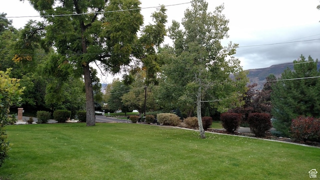surrounding community featuring a yard
