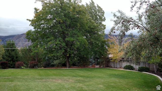view of yard with fence and a mountain view