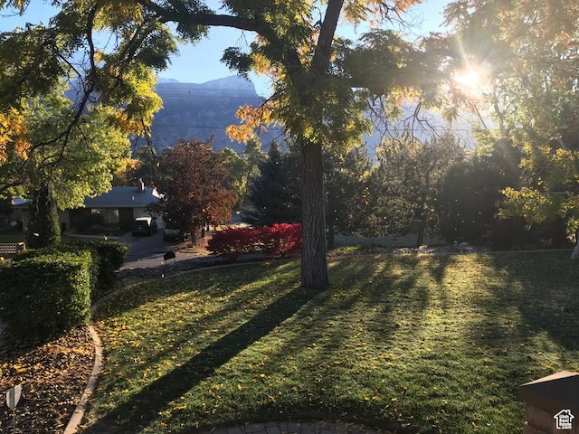 view of yard with a mountain view