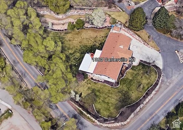 bird's eye view