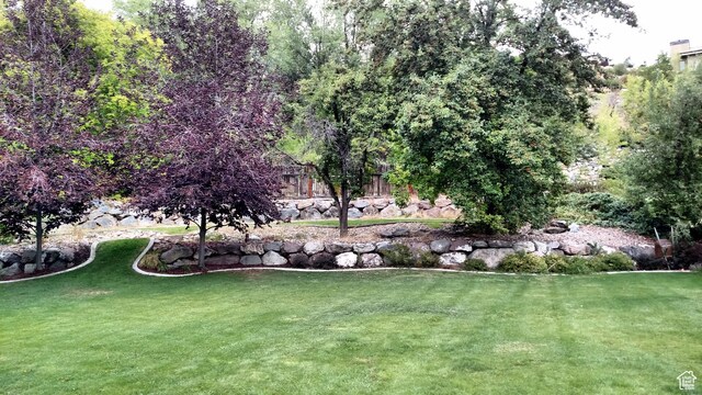 surrounding community featuring a lawn