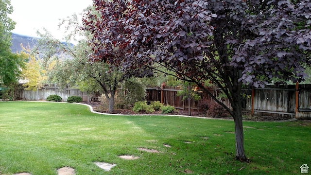 view of yard with a fenced backyard