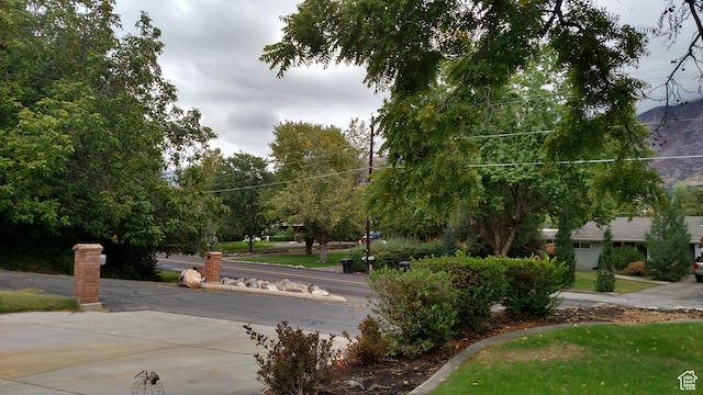 view of surrounding community