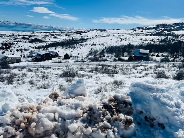 74 Peregrine Cir Unit 413, Fish Haven, ID 83287