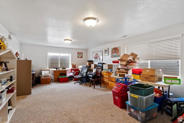 playroom with carpet floors and a textured ceiling