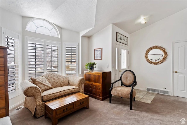 sitting room with lofted ceiling, carpet, and a textured ceiling