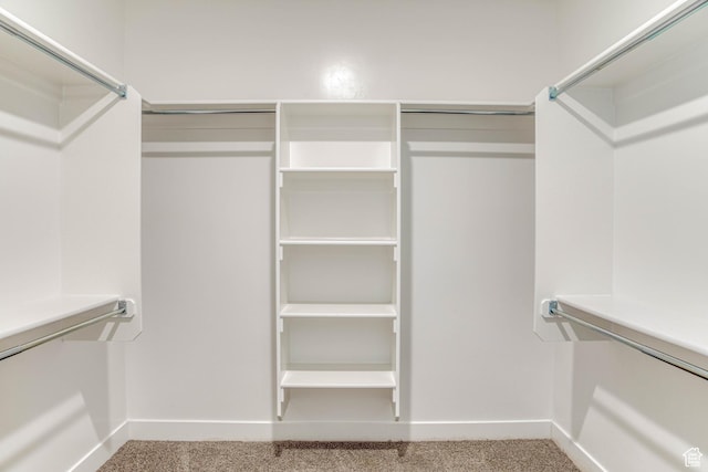 4386 W 3800 S, West Haven, UT 84401 - walk in closet featuring carpet flooring