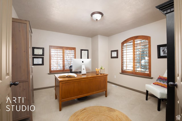 home office with light colored carpet and baseboards