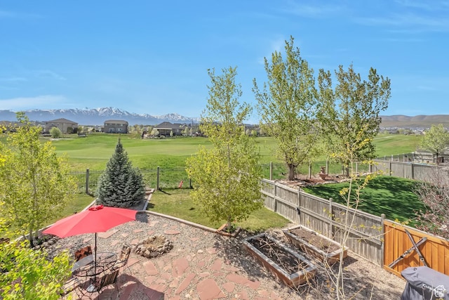 8783 N Franklin Dr, Eagle Mountain, UT 84005 - view of yard with a vegetable garden, a fenced backyard, and a mountain view