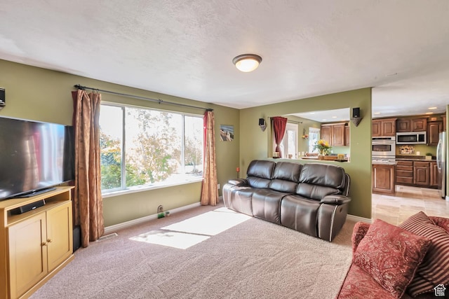 8783 N Franklin Dr, Eagle Mountain, UT 84005 - living area featuring light colored carpet, a textured ceiling, and baseboards