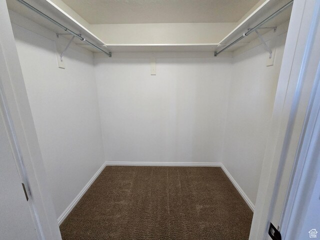 8204 N Cedar Springs Rd E Unit U-12, Eagle Mountain, UT 84005 - spacious closet with carpet flooring