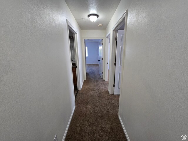 8204 N Cedar Springs Rd E Unit U-12, Eagle Mountain, UT 84005 - corridor with dark carpet, a textured wall, and baseboards