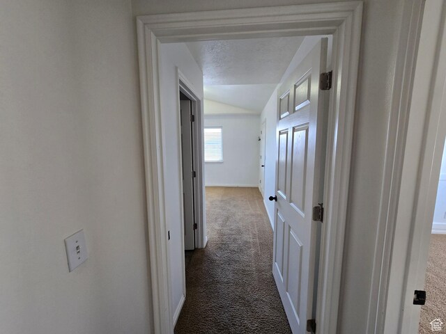 8204 N Cedar Springs Rd E Unit U-12, Eagle Mountain, UT 84005 - hall with a textured ceiling, carpet flooring, baseboards, and lofted ceiling