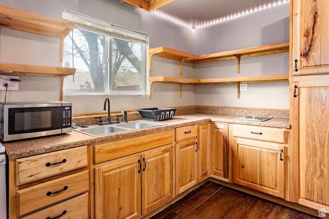 170 S 500 E, Duchesne, UT 84021 - kitchen featuring stainless steel microwave, dark wood-type flooring, light countertops, open shelves, and a sink