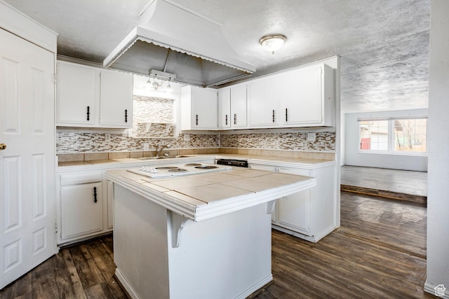 170 S 500 E, Duchesne, UT 84021 - kitchen with decorative backsplash, dark wood-style floors, a center island, premium range hood, and white cabinetry