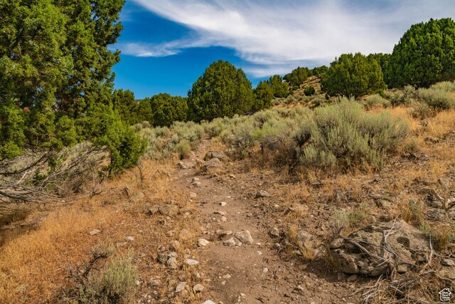 590 N Ibapah Peak Dr Unit 173, Heber City, UT 84032 - photo 9