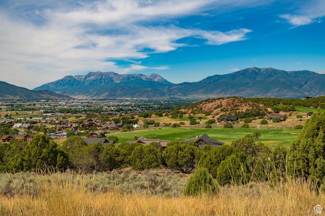 590 N Ibapah Peak Dr Unit 173, Heber City, UT 84032 - photo 7
