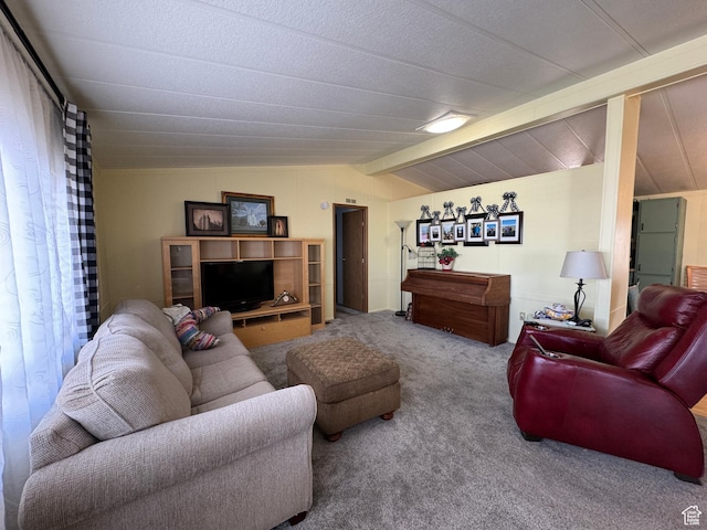 1526 N Dixie Downs Rd N 36, St George, UT 84770 - living area featuring lofted ceiling and carpet flooring