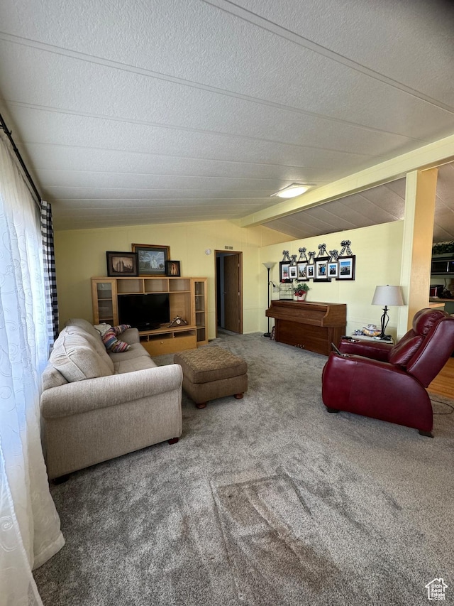 1526 N Dixie Downs Rd N 36, St George, UT 84770 - living area with lofted ceiling, a textured ceiling, and carpet flooring