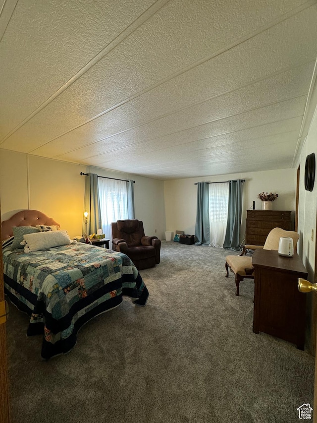1526 N Dixie Downs Rd N 36, St George, UT 84770 - bedroom featuring a textured ceiling and carpet flooring