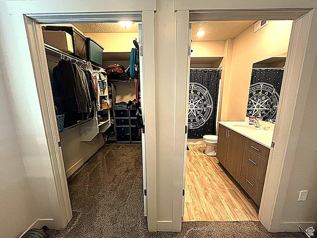 154 E 7th St S Unit A101, Ogden, UT 84404 - bathroom featuring toilet, vanity, and a walk in closet