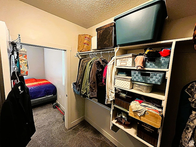 154 E 7th St S Unit A101, Ogden, UT 84404 - walk in closet with carpet flooring
