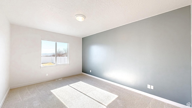 1396 S Castillo Rd W Unit 102, Spanish Fork, UT 84660 - empty room with a textured ceiling, carpet, and baseboards