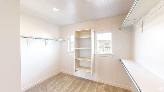 1396 S Castillo Rd W Unit 102, Spanish Fork, UT 84660 - walk in closet with carpet floors