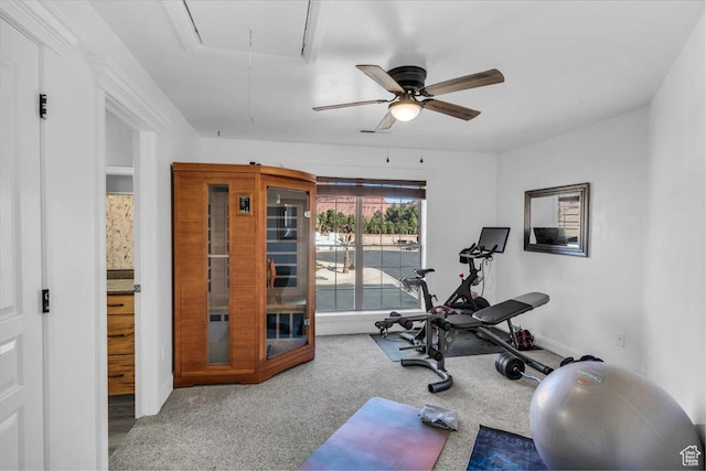 470 E 130 S, Ivins, UT 84738 - workout area with carpet flooring, attic access, and baseboards