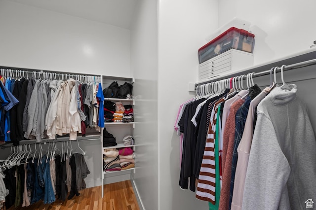 spacious closet featuring wood finished floors