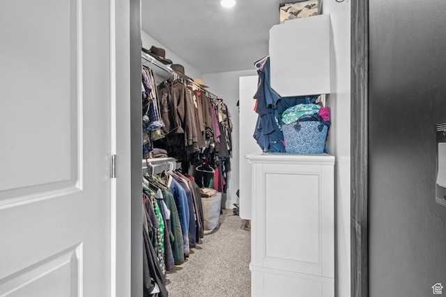 6471 S Aspen Ln, South Weber, UT 84405 - walk in closet with carpet flooring