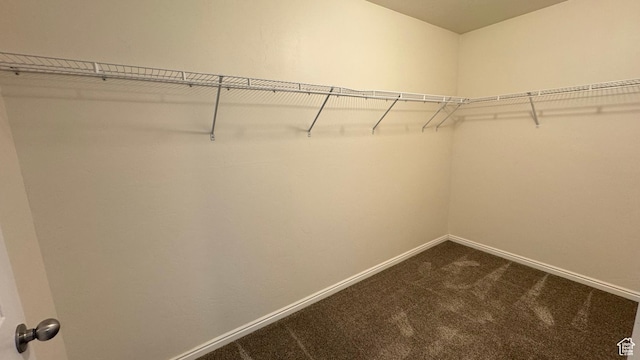 spacious closet featuring dark carpet
