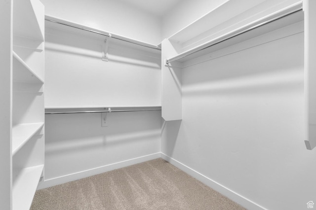 3707 W 2600 N, Lehi, UT 84043 - walk in closet featuring carpet flooring