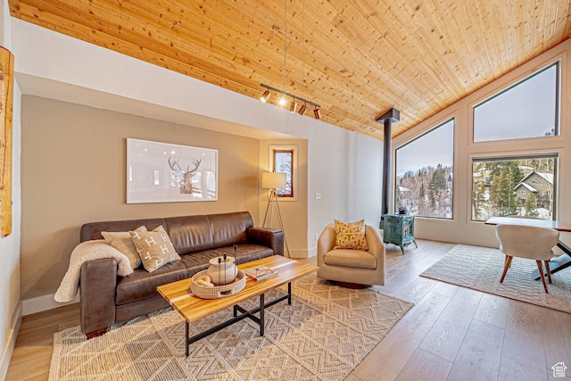 4414 Hidden Cove Rd, Park City, UT 84098 - living area with a wood stove, wooden ceiling, vaulted ceiling, and hardwood / wood-style flooring