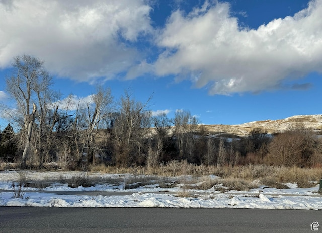 4490 N Heather Meadows Dr Unit 1, Peterson, UT 84050