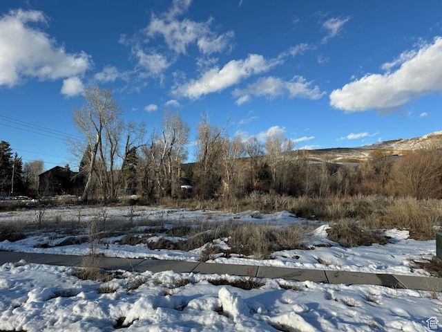 4490 N Heather Meadows Dr Unit 1, Peterson, UT 84050