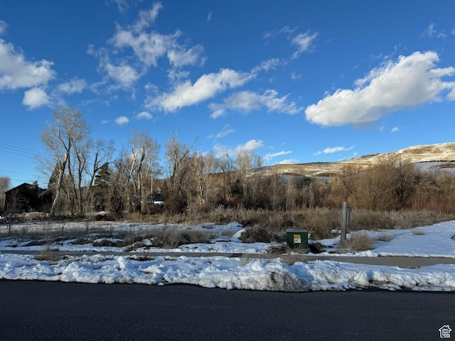 4490 N Heather Meadows Dr Unit 1, Peterson, UT 84050