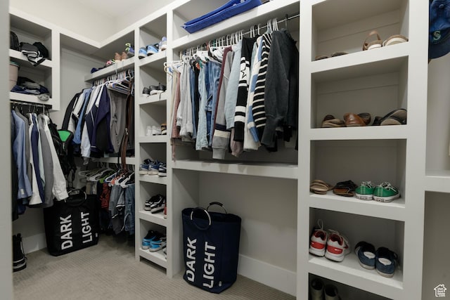 3311 E Barrel Roll Dr, St George, UT 84790 - walk in closet featuring carpet flooring