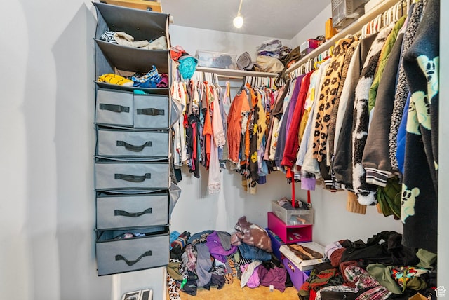 1486 S Archmore Loop, Springville, UT 84663 - view of walk in closet
