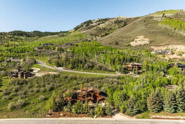 2667 Aspen Springs Dr, Park City, UT 84060 - mountain view