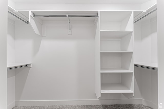 712 W 4500 S Unit 304, Mapleton, UT 84664 - view of spacious closet