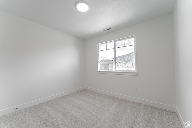 712 W 4500 S Unit 304, Mapleton, UT 84664 - empty room featuring light colored carpet, baseboards, and a textured ceiling