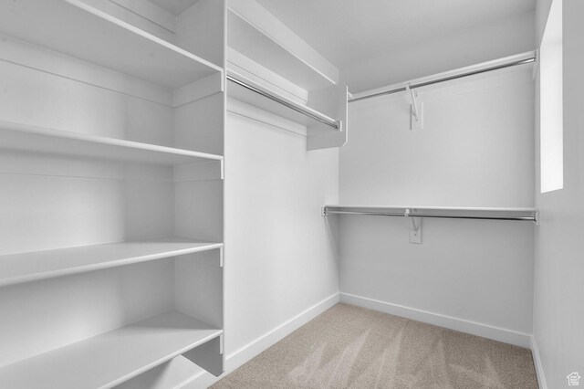 1819 N 3530 W, Lehi, UT 84043 - walk in closet with carpet floors